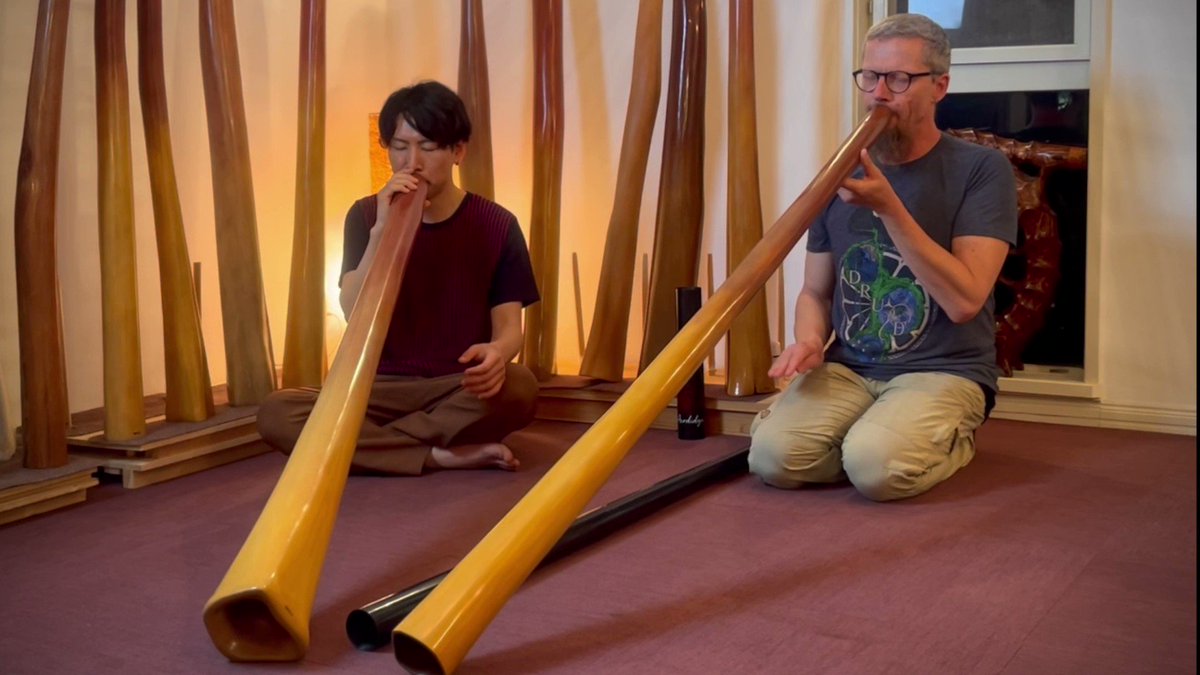 3年保証 即日出荷 アガベ ディジュリドゥ DIDGERIDOO サボテンディジュ