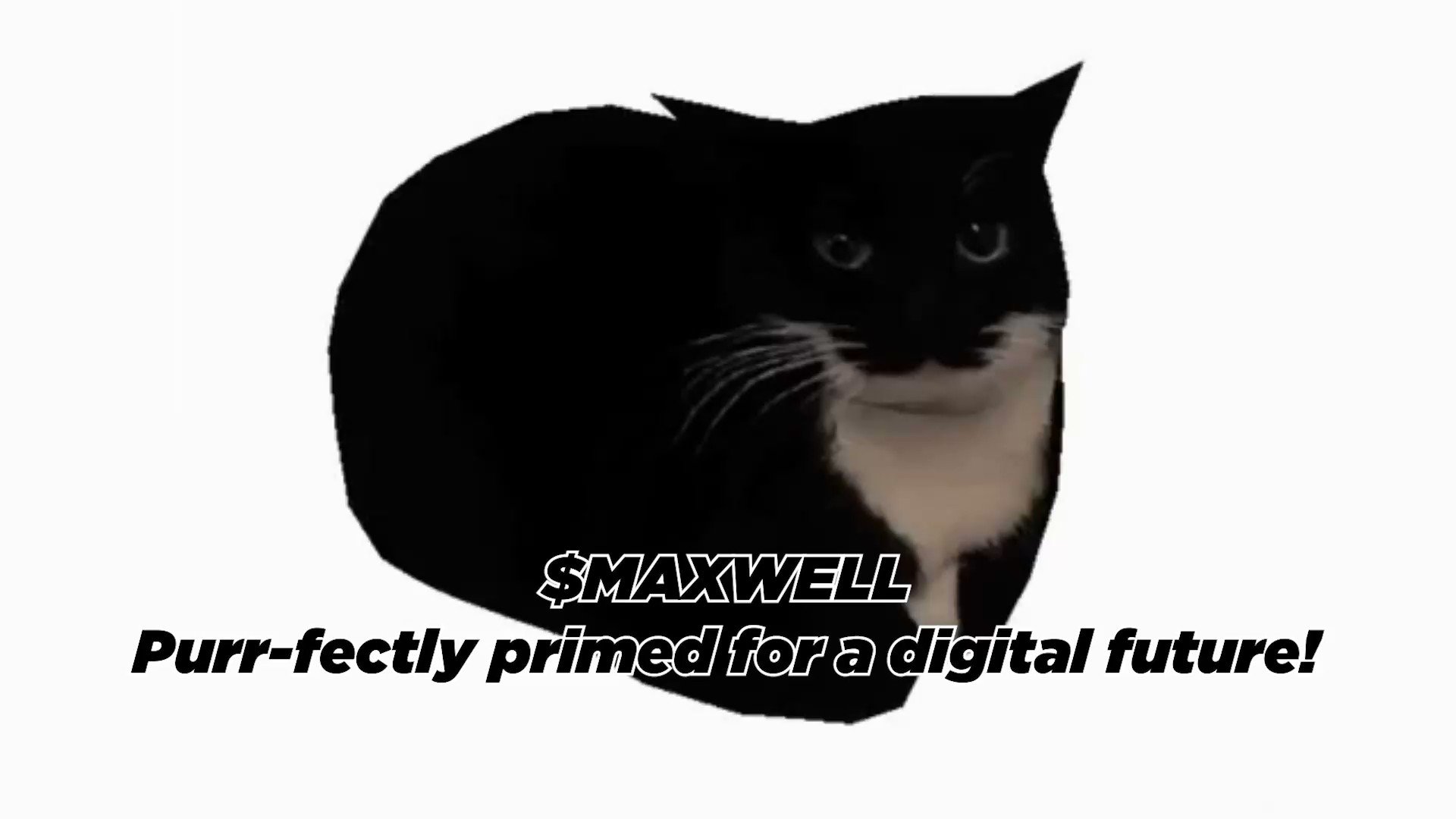 MAXWELL THE CAT (@maxwellcoineth) / X