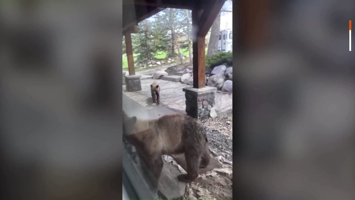 Africa Updates on Twitter "RT Reuters A homeowner in Colorado