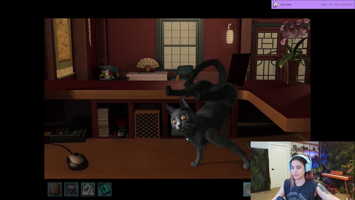 *Legacy or Blue? * AvaGG 💀 on Twitter "Ever been attacked by a cat you