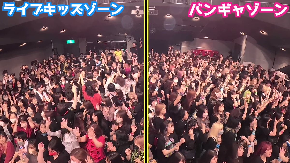 バンギャとライブキッズのノリ方の違い検証してみた オメでたさんとの