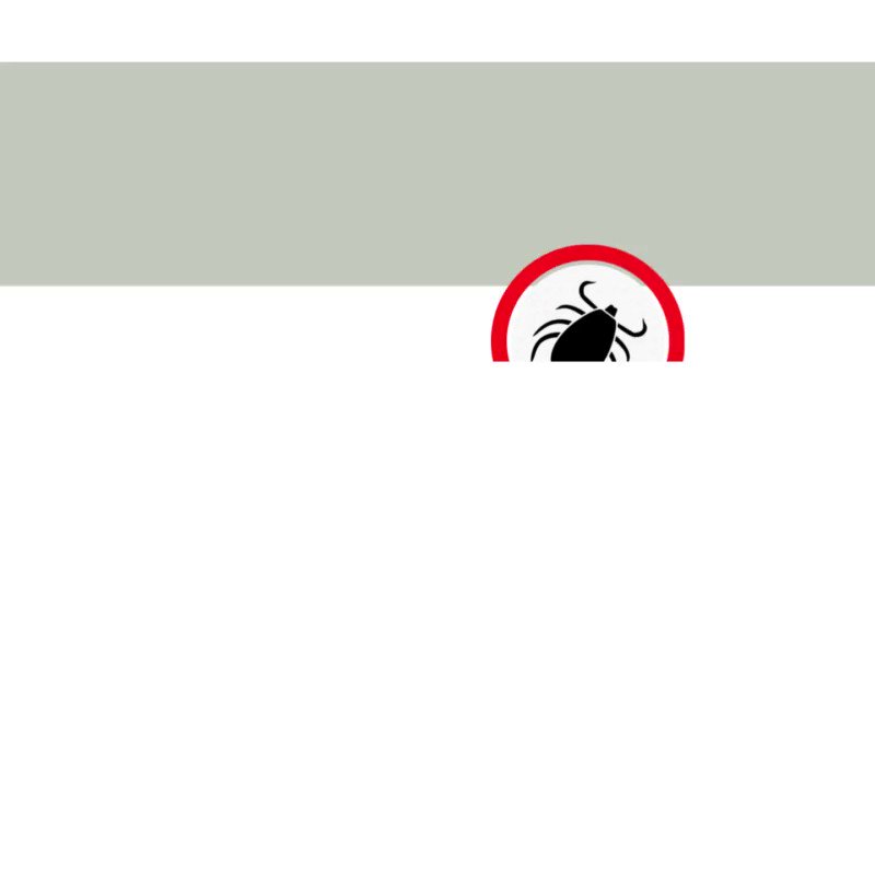 Public Health Agency on Twitter "Be TICK aware 🕷 Ticks are found