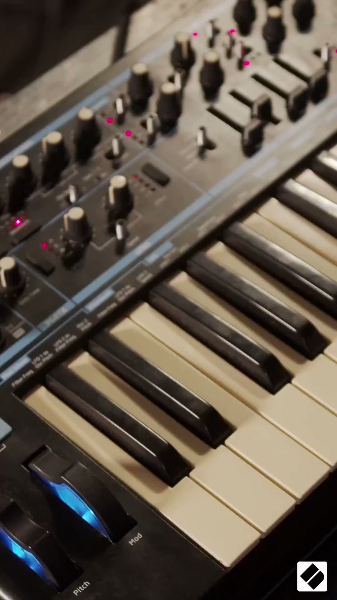 人気満点 - Bass 2.8 【g/5様へ】Bass Novation station II