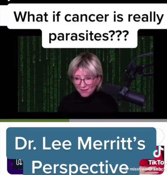 Dr. Lee Merritt Website