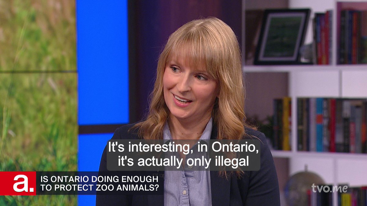 The Agenda TVO Today On Twitter Is Ontario Doing Enough To Ensure the-agenda-tvo-today-on-twitter-is-ontario-doing-enough-to-ensure
