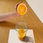 本物にしか見えない!？木彫り×色鉛筆画の合作がクオリティ高すぎ!
