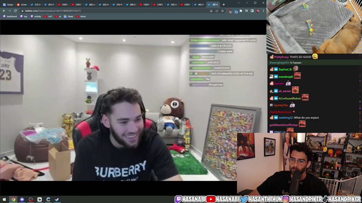 Dexerto on Twitter "“No sh*t dude” Hasan reacts to Adin Ross finding