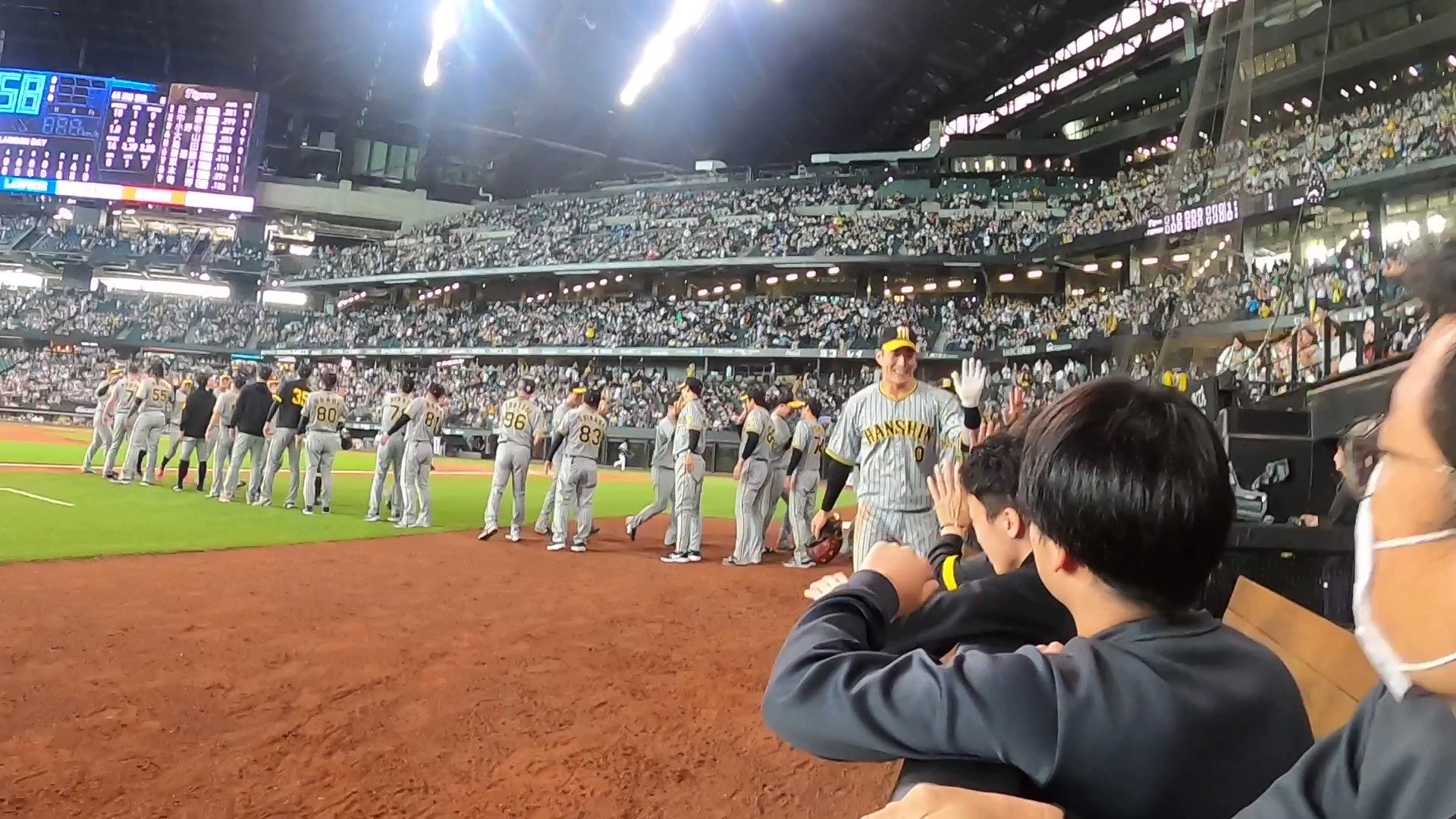 北海道日本ハムファイターズ 6月11日(日) 交流戦(vs阪神タイガース 北海道日本ハムファイターズ 6月11日(日) 交流戦(vs阪神タイガース