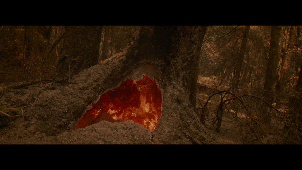 FirePhotoGirl on Twitter "RT Hotshot_Movie This is what it typically