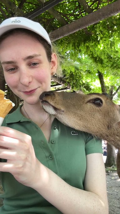 LET ME EAT MY ICECREAM IN PEACE https://t.co/kZlmoLwrY0