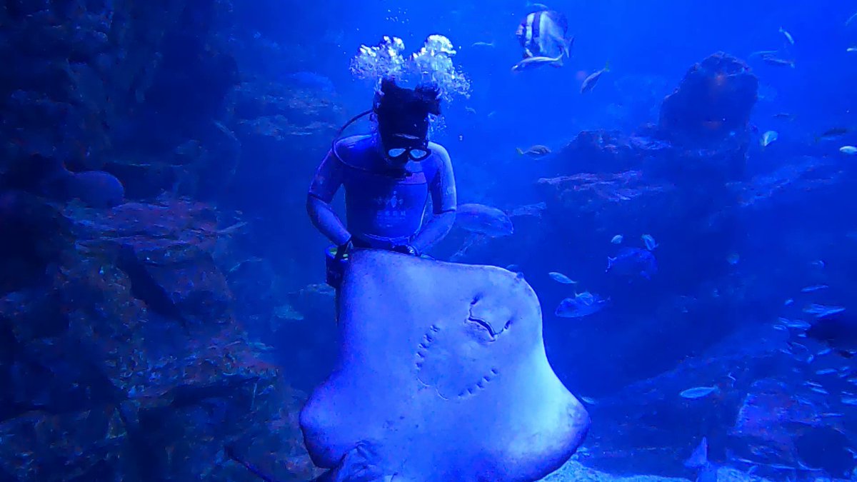 もぐもぐページ もぐもぐ( '༥' )