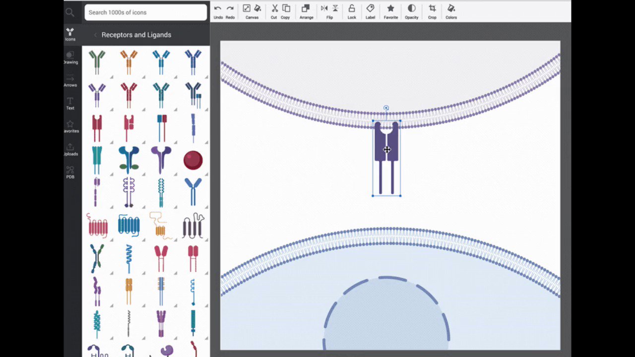 BioRender 🔬🎨 on Twitter: "For all the scientists out there spending ...