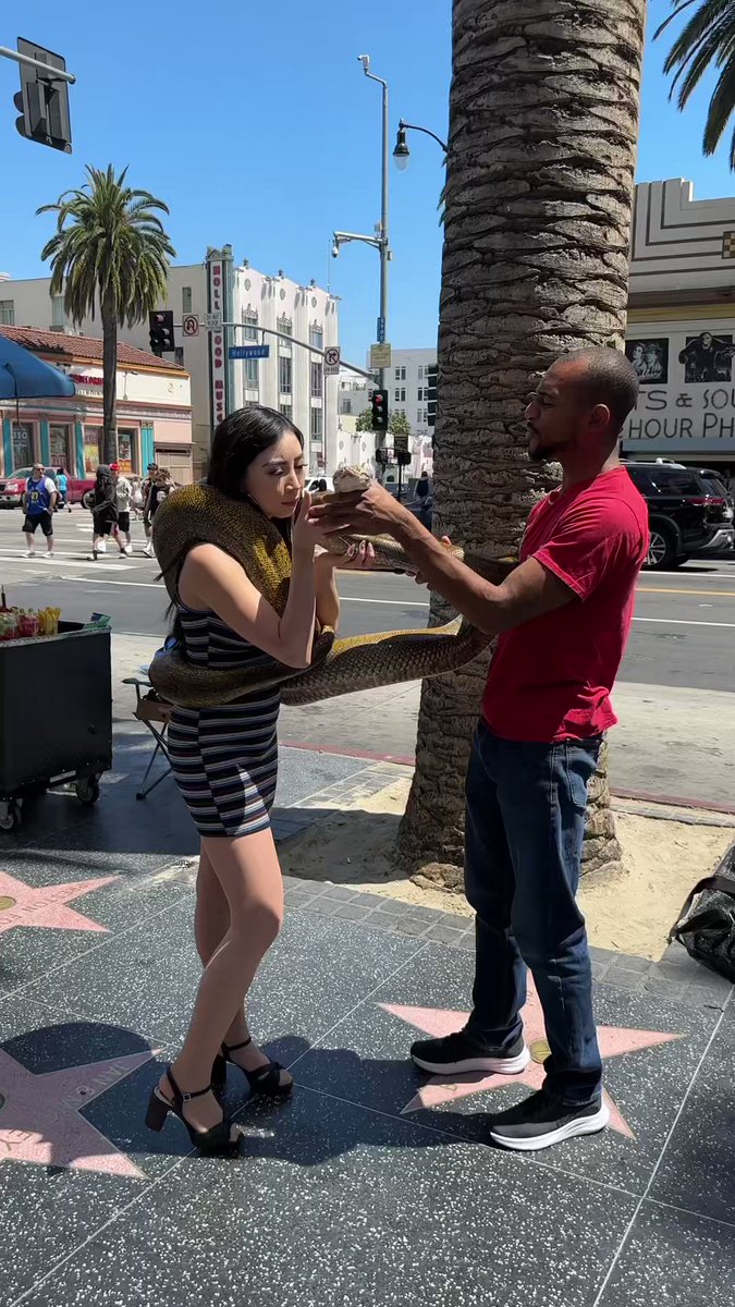 Coby Persin on Twitter: “Scientist CLONES Girl off a 17ft Snake🧬🐍”