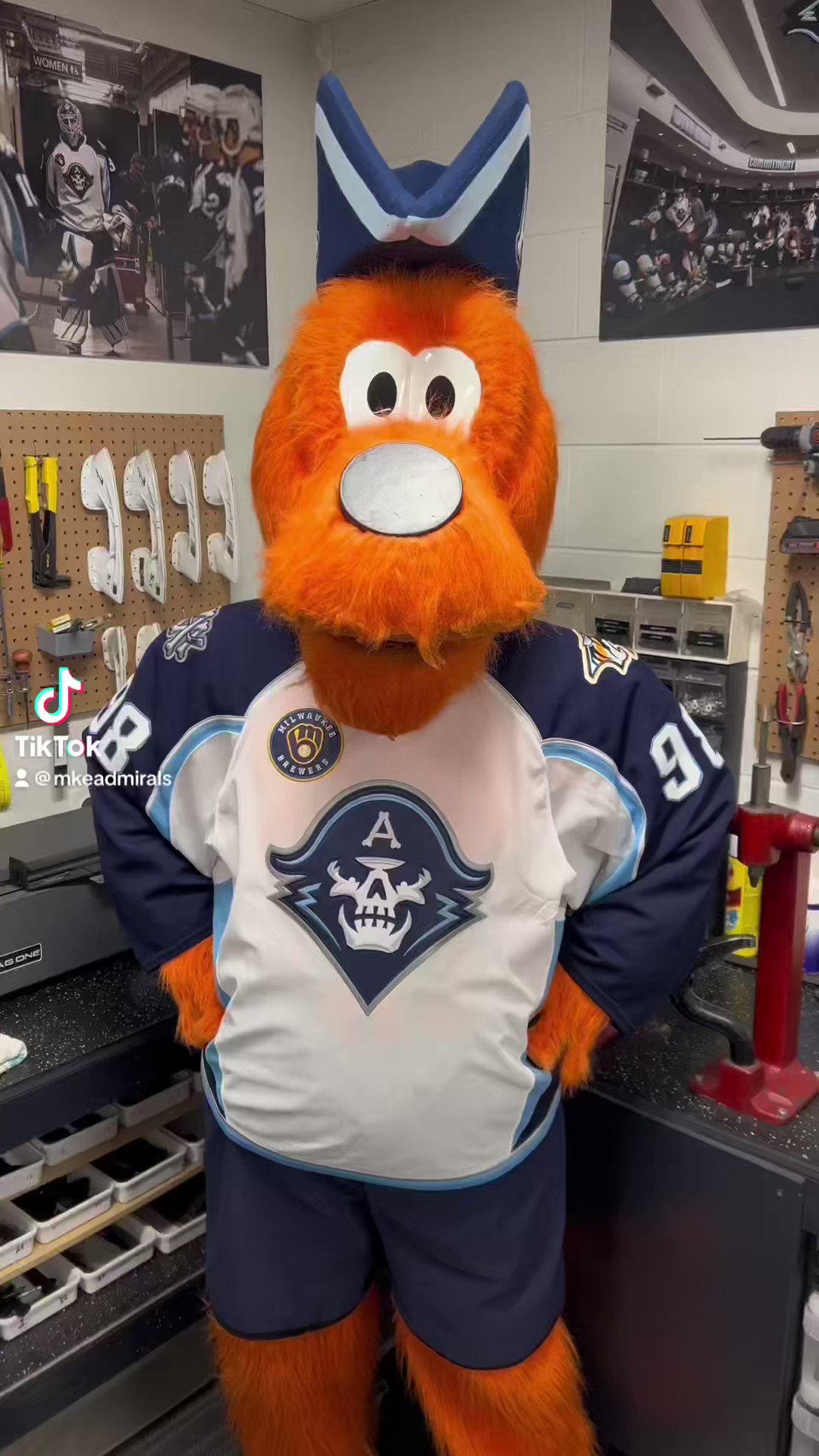 Roscoe - Milwaukee Admirals