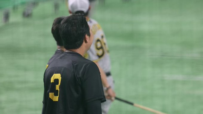中野拓夢内野手のTシャツ❗です❗】 新入荷品 スポーツ・レジャー