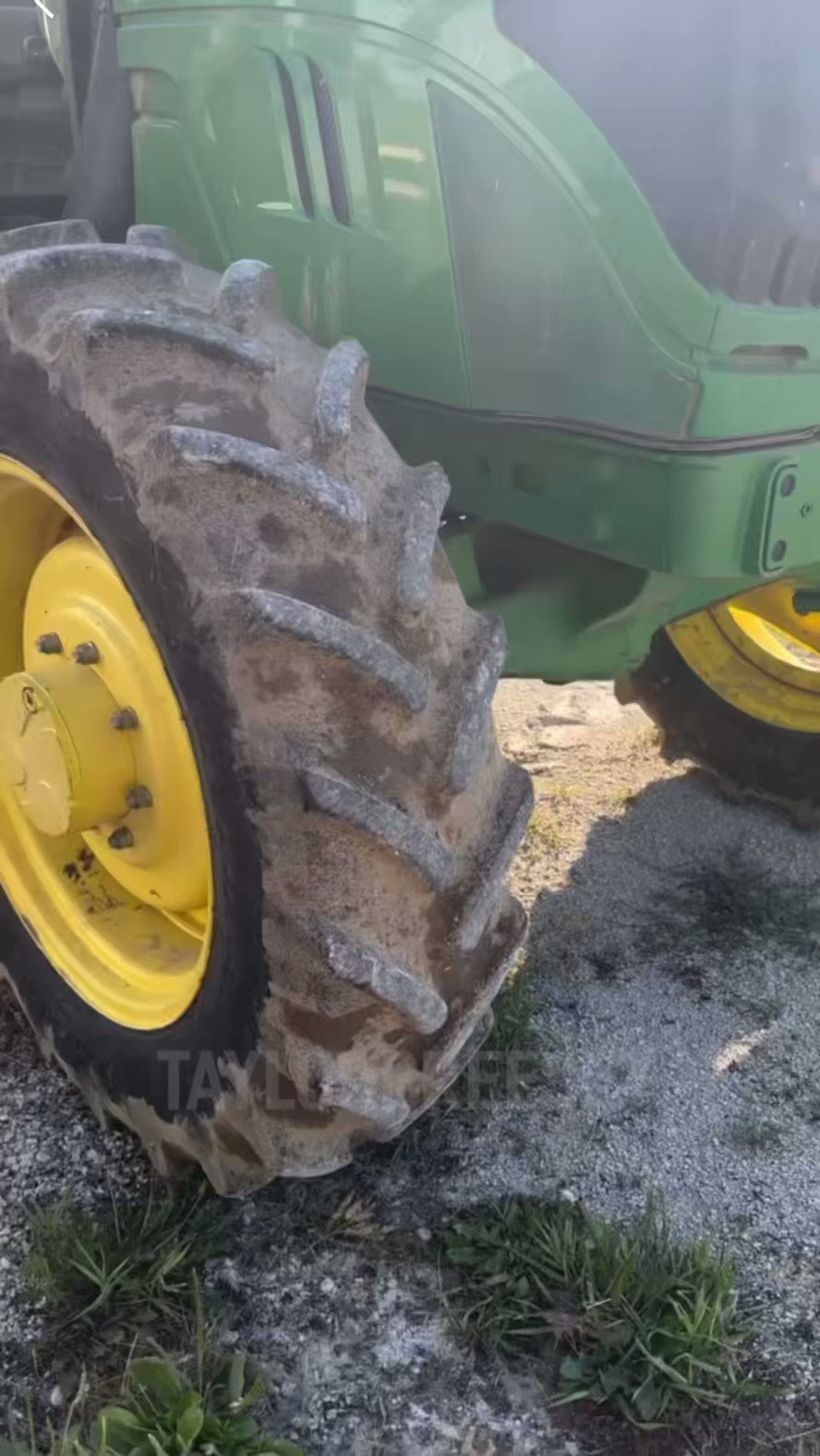 @TayBreeseys video Tweet