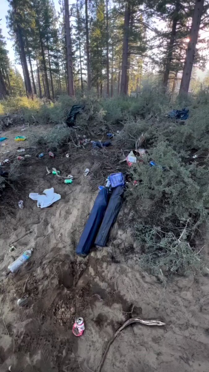 RT @ActiveNorCal: Here is the sad aftermath of Lake Tahoe’s Fourth of July celebration. (via @cleanupthelake/IG) https://t.co/THAq3c7lRf