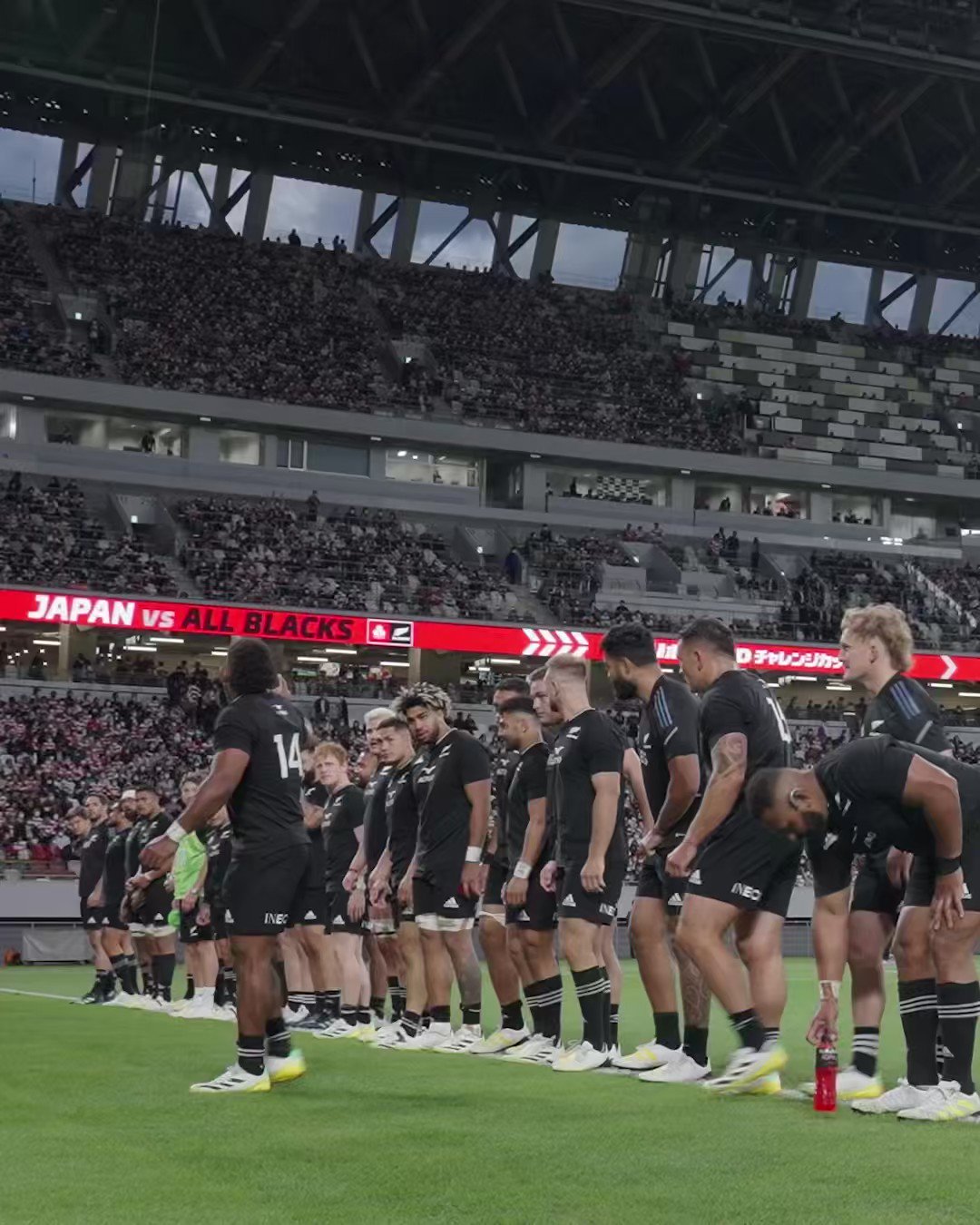 All Blacks On Twitter Were Heading Back To Japan In 2024 We Will