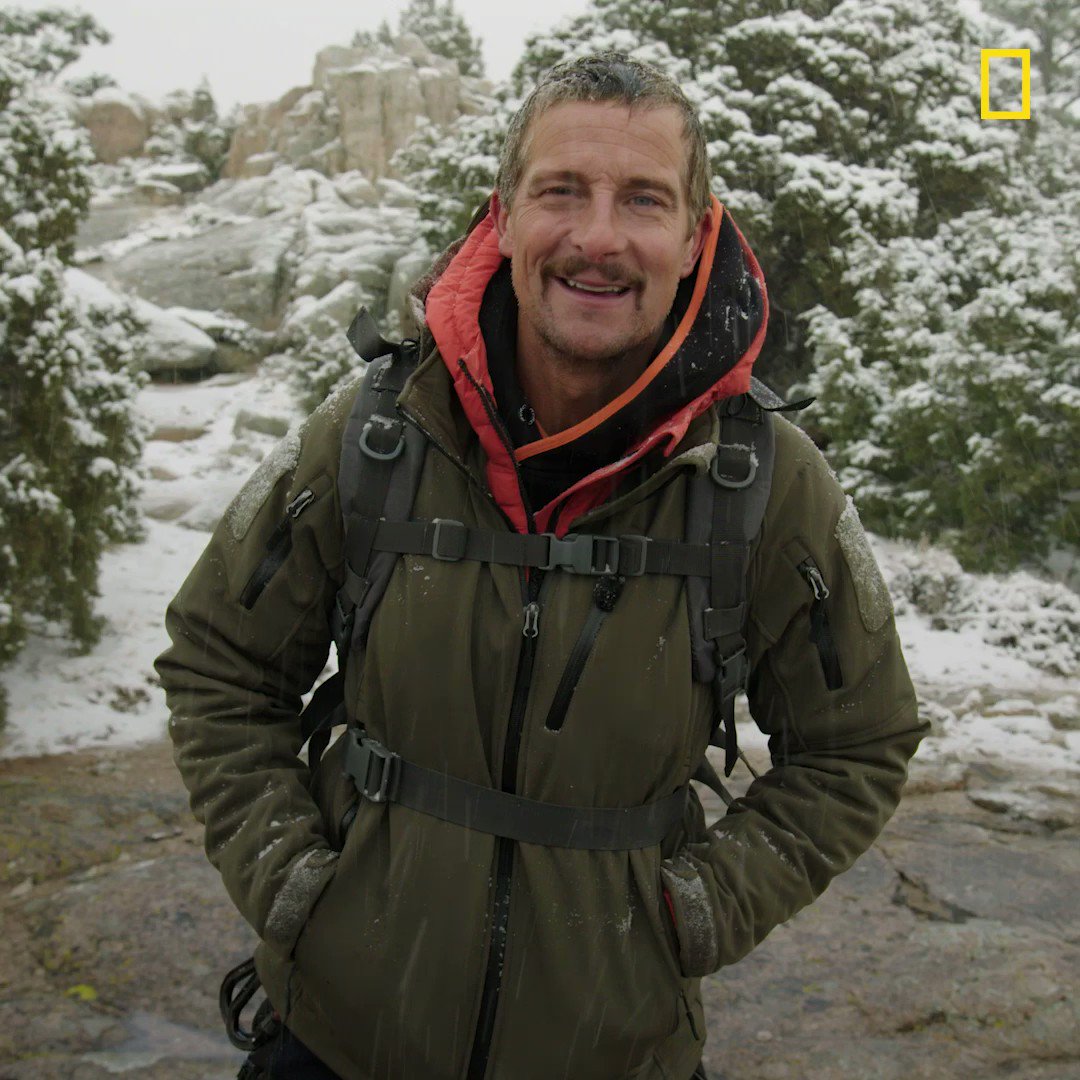 Bear grylls top winter jacket