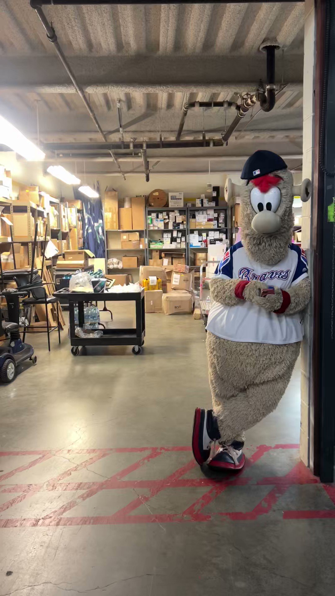 atlanta braves blooper stuffed animal