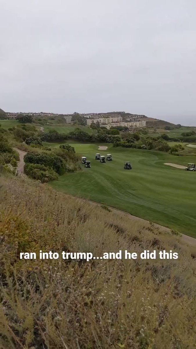 SPORTbible on Twitter "Donald Trump slicing a shot into the bushes whilst playing golf in Los