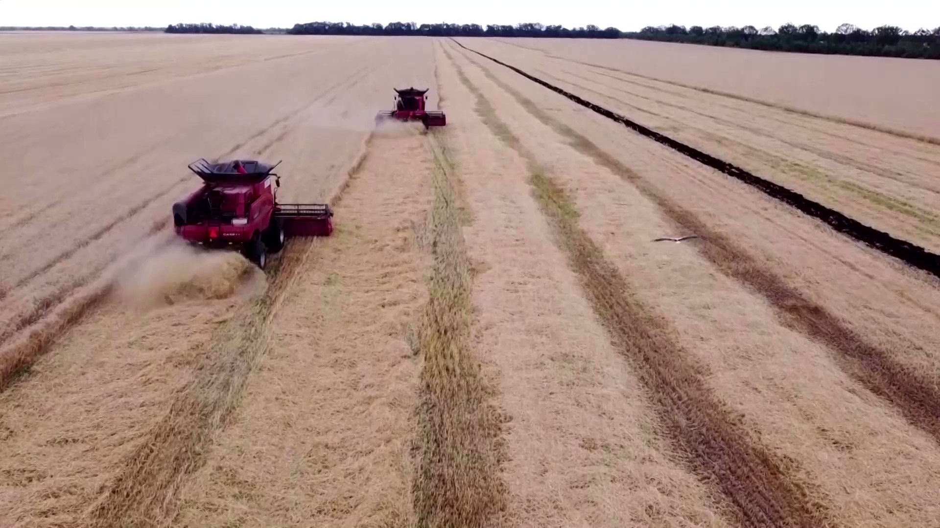 Reuters on Twitter "Ukraine harvested grain crops in the southern