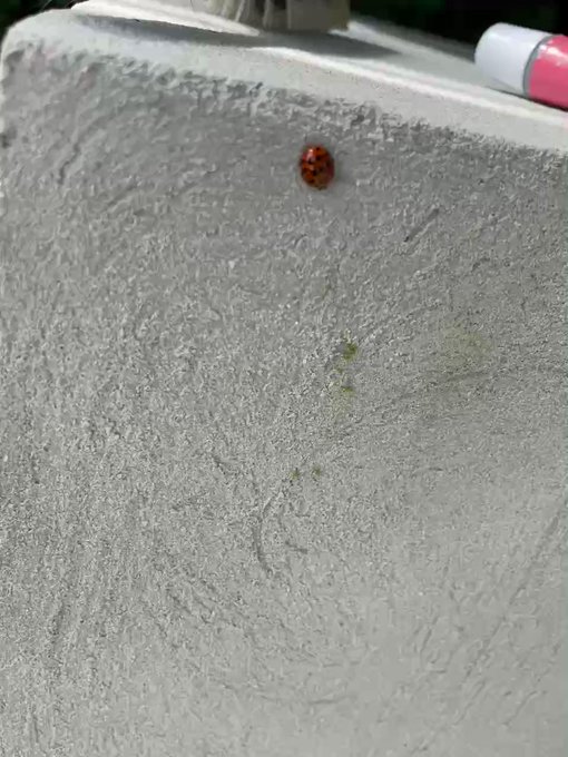 self care https://t.co/qbFvcRp2CW