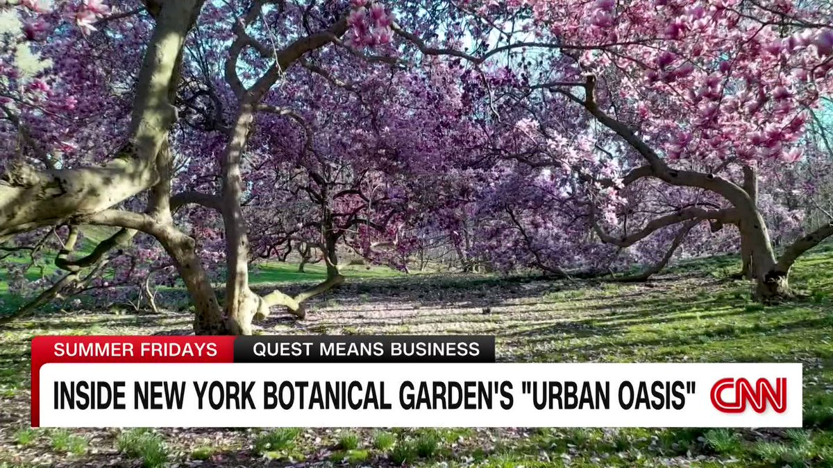 RT @CNN: Inside the New York Botanical Garden https://t.co/3hDMoPfi0y