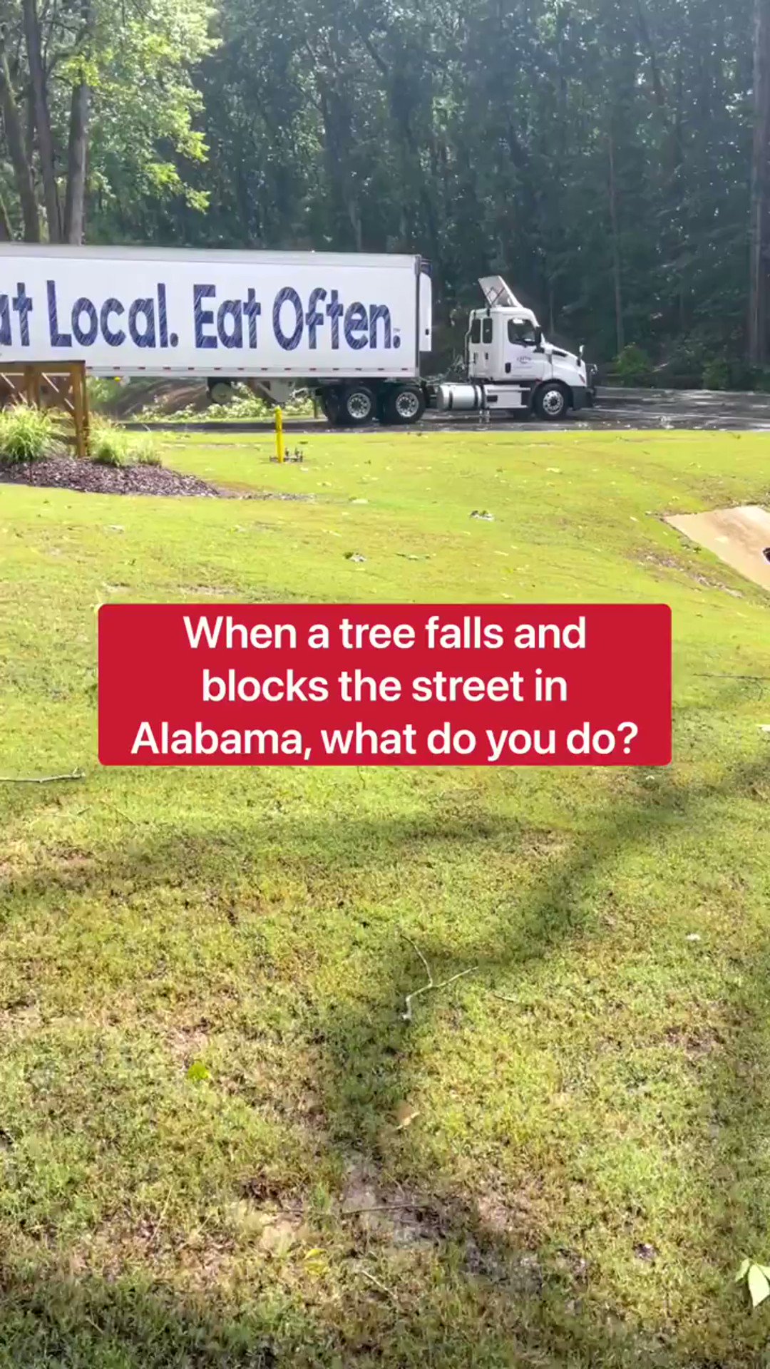 dc-draino-on-twitter-if-a-tree-falls-in-alabama-will-some-good-ol
