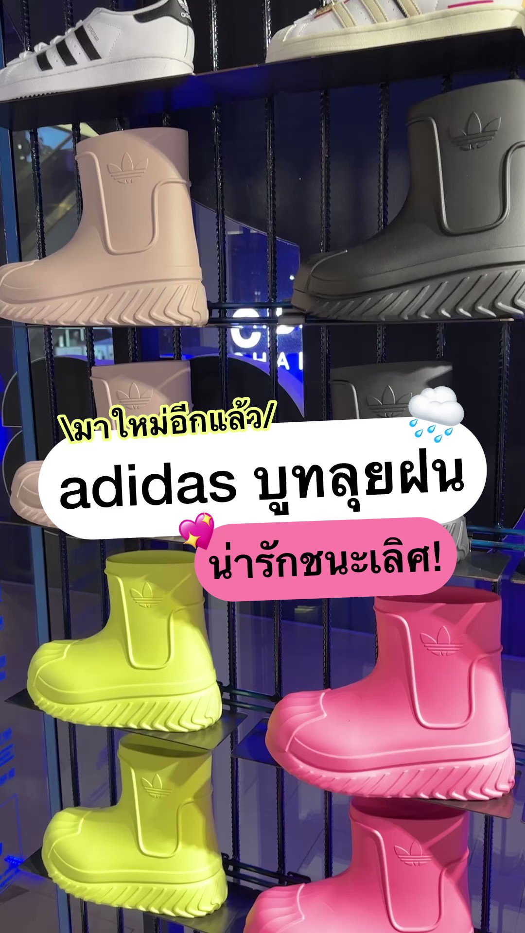 punpromotion s video Tweet