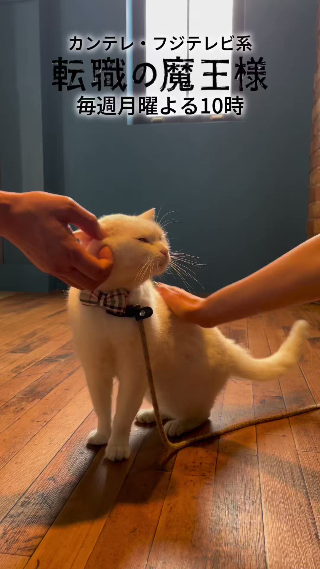 [心得] 轉職(跳槽)的魔王大人 第二集