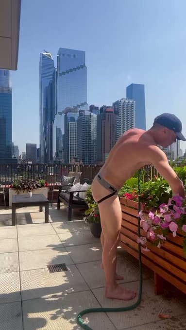 My morning routine: Just me, cold brew, my flowers… and maybe a few nosy neighbors https://t.co/yJcj