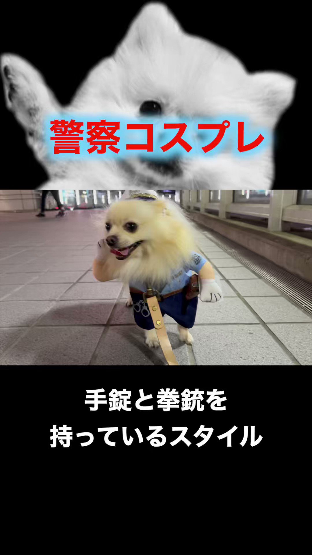 み様☆犬服☆ハンドメイドオーダー☆4着✩.*˚ みきるな様☆犬服☆ハンドメイドオーダー - メルカリ
