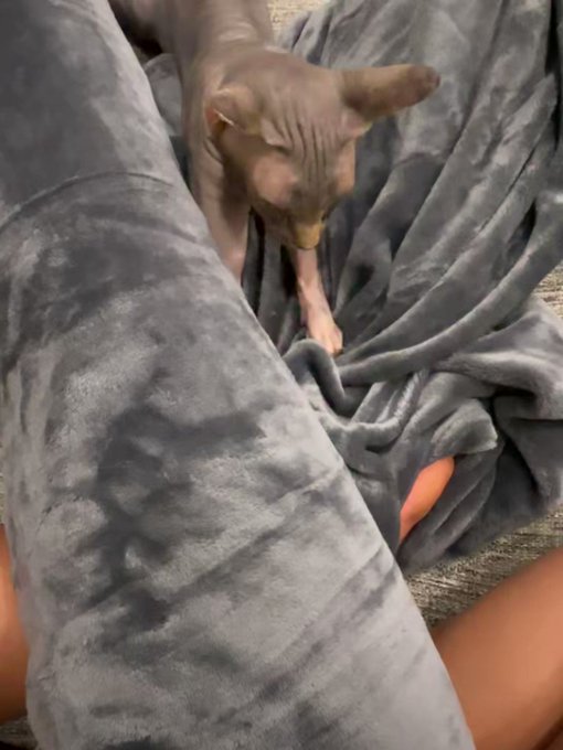 a snap pin turtl https://t.co/YmzBNNNjD6