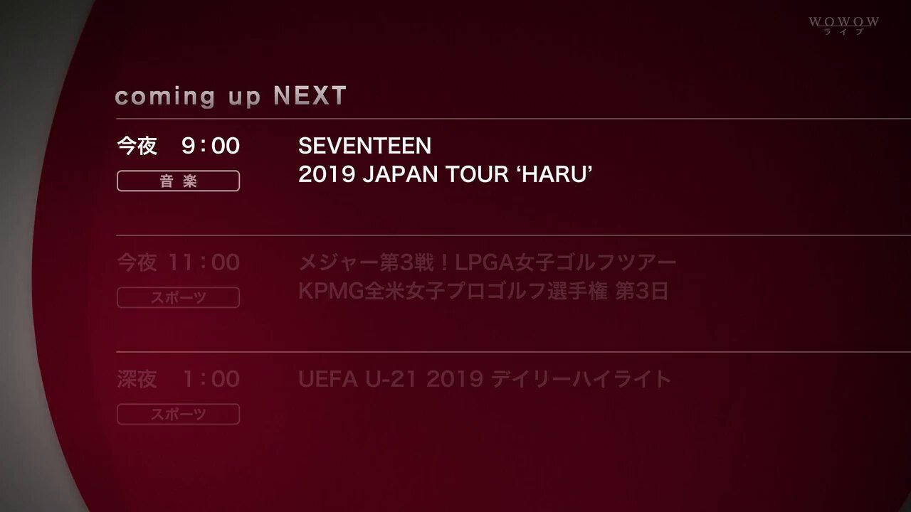 TEASER] SEVENTEEN 2019 JAPAN TOUR 'HARU' (WOWOWダイジェスト