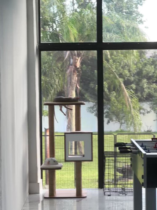 🩵🩵 https://t.co/8JOTgmyqdR