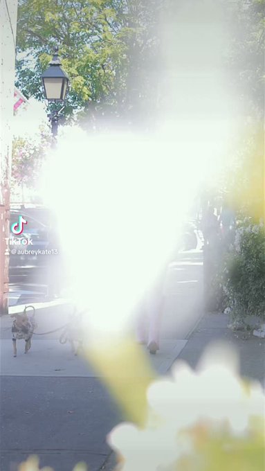 https://t.co/7UynlHv58S