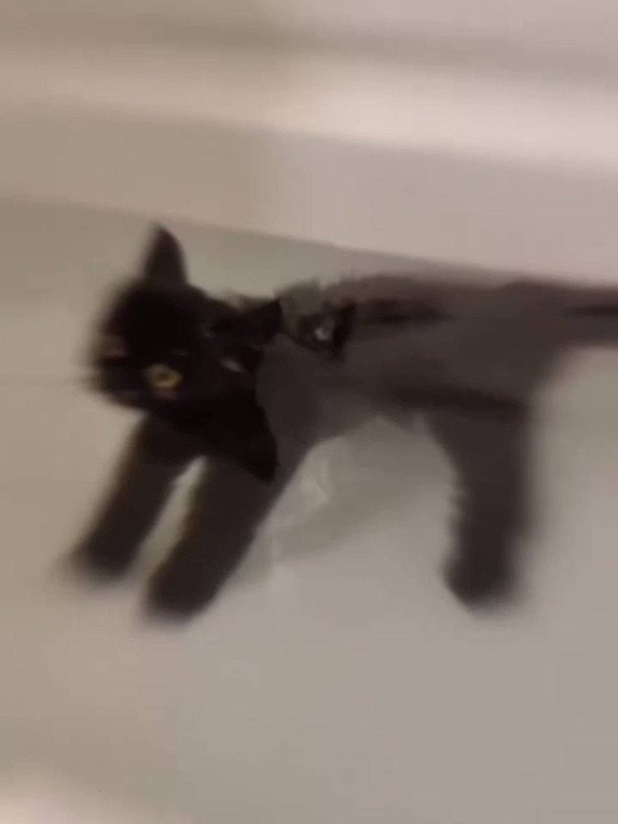 Мем тыгыдык