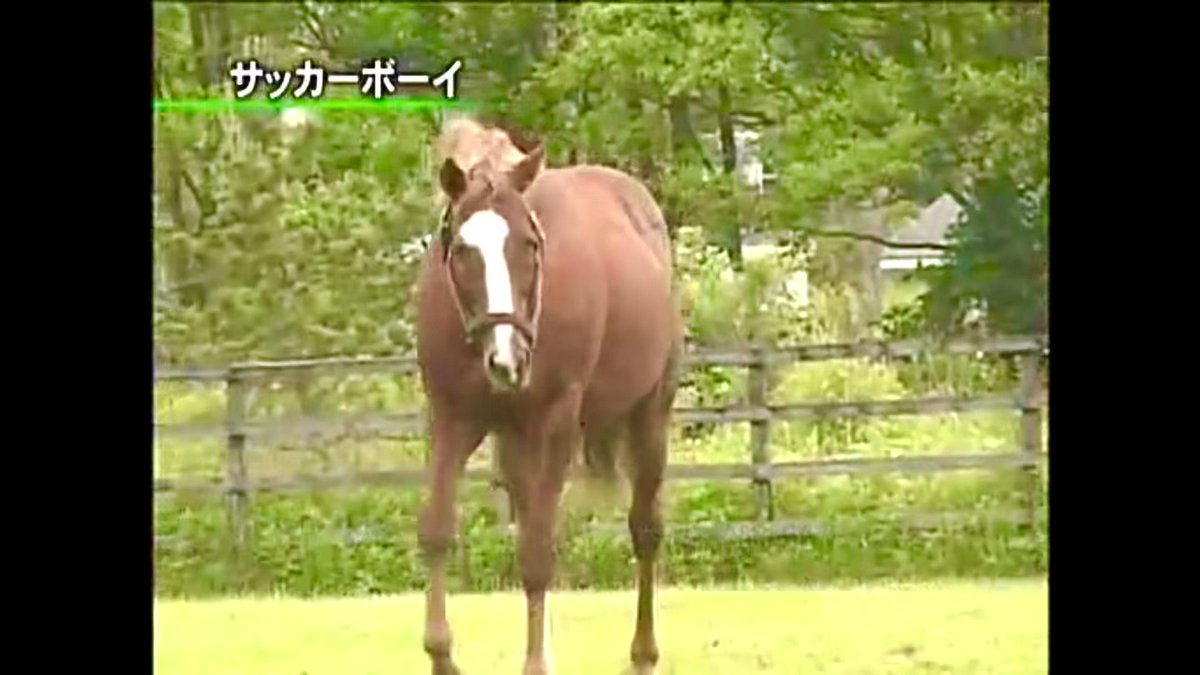 サッカーボーイ