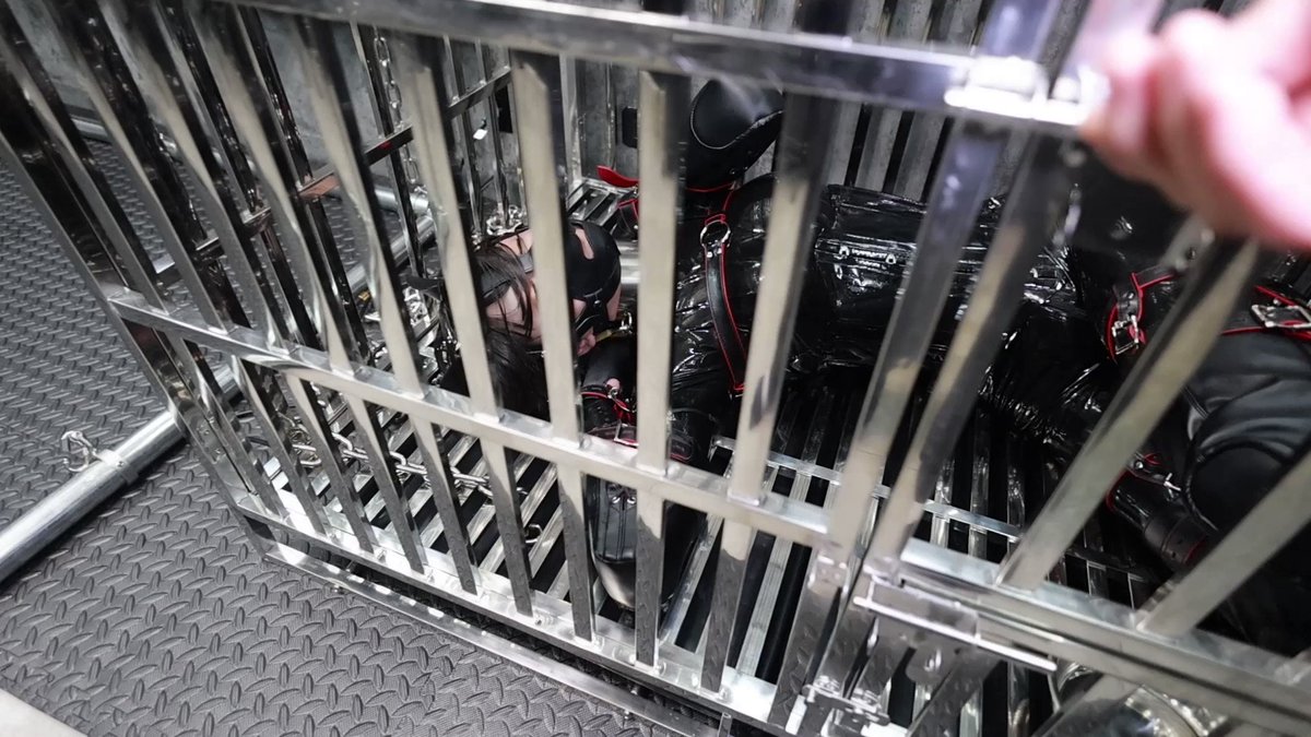 Video by @DDD04004120