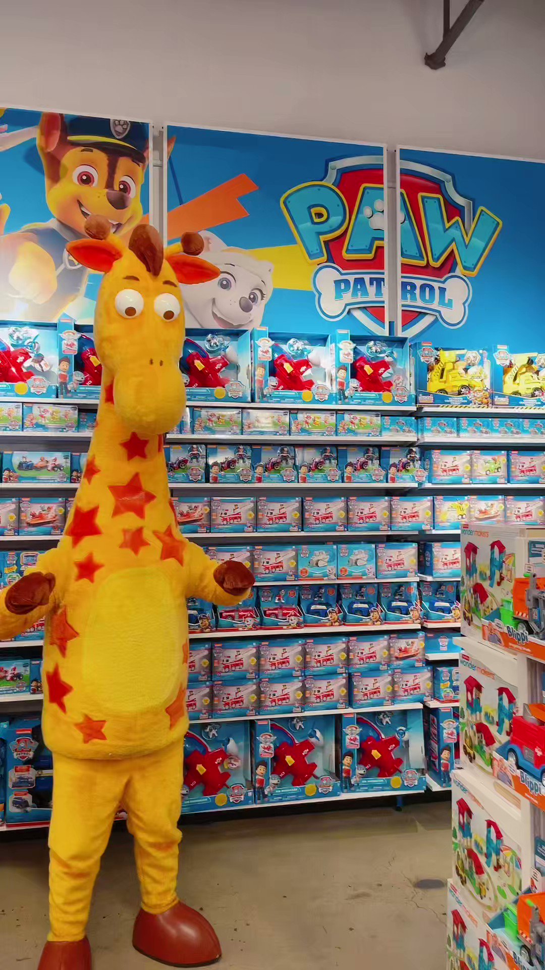 Paw patrol sale toys r us