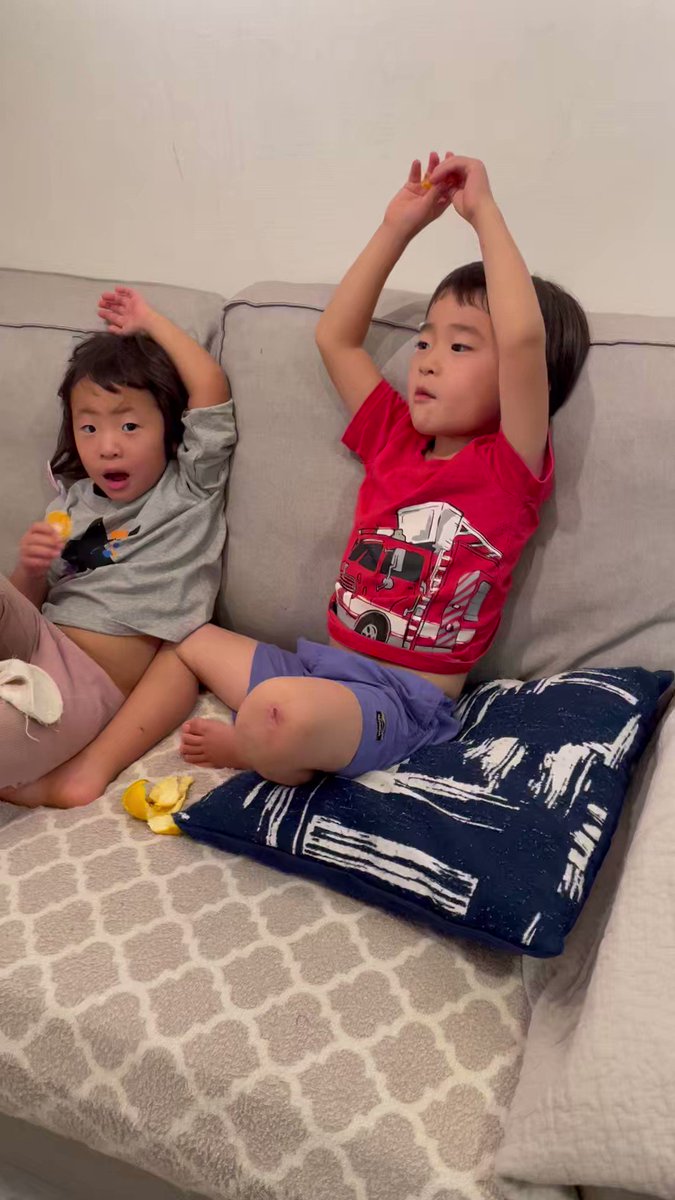 ぼんちゃん ボンちゃん/Bonchan (@katitagaribon) / X