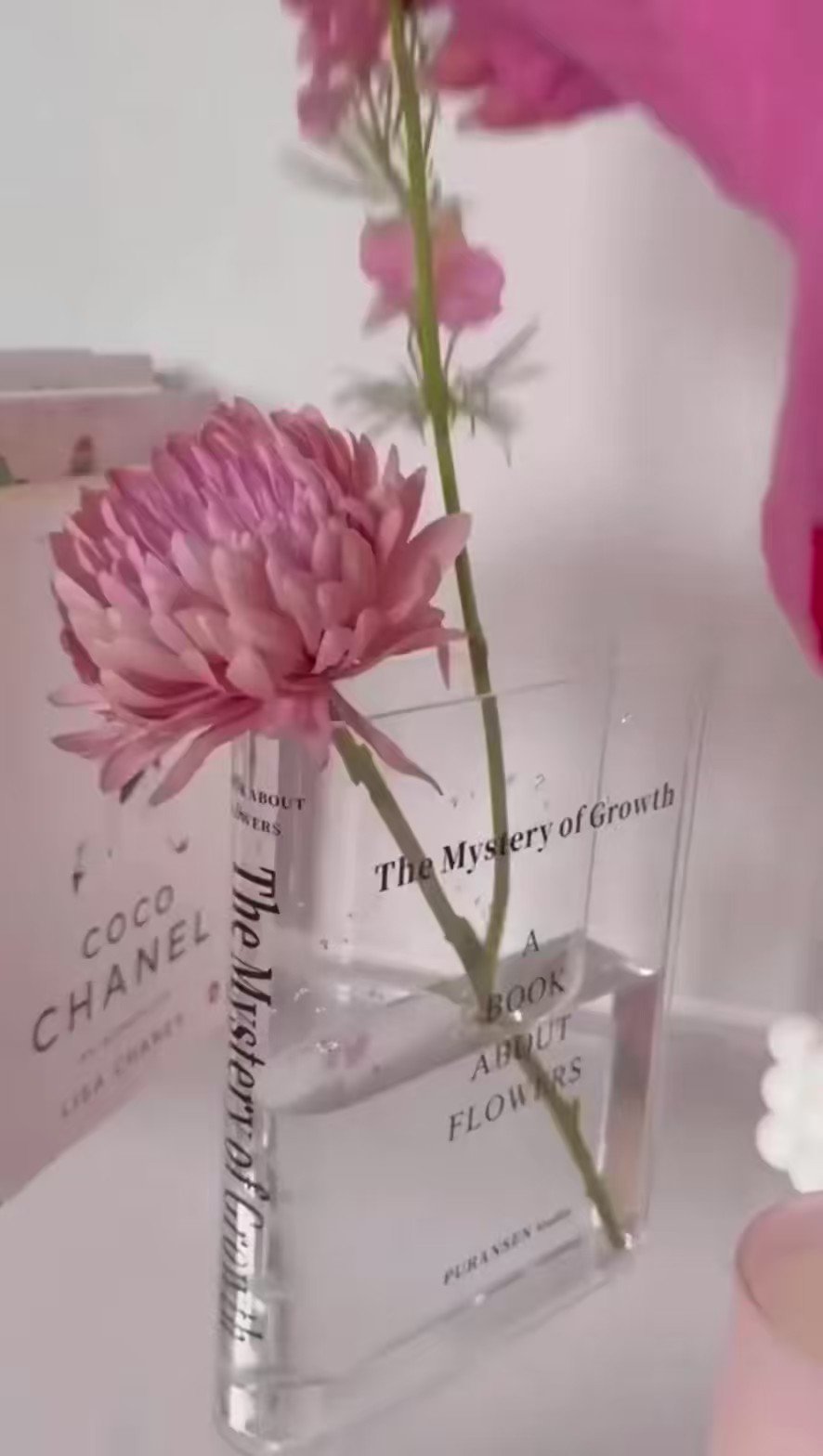 DD on X: Transparent Book Flower Vase 💐📔  / X