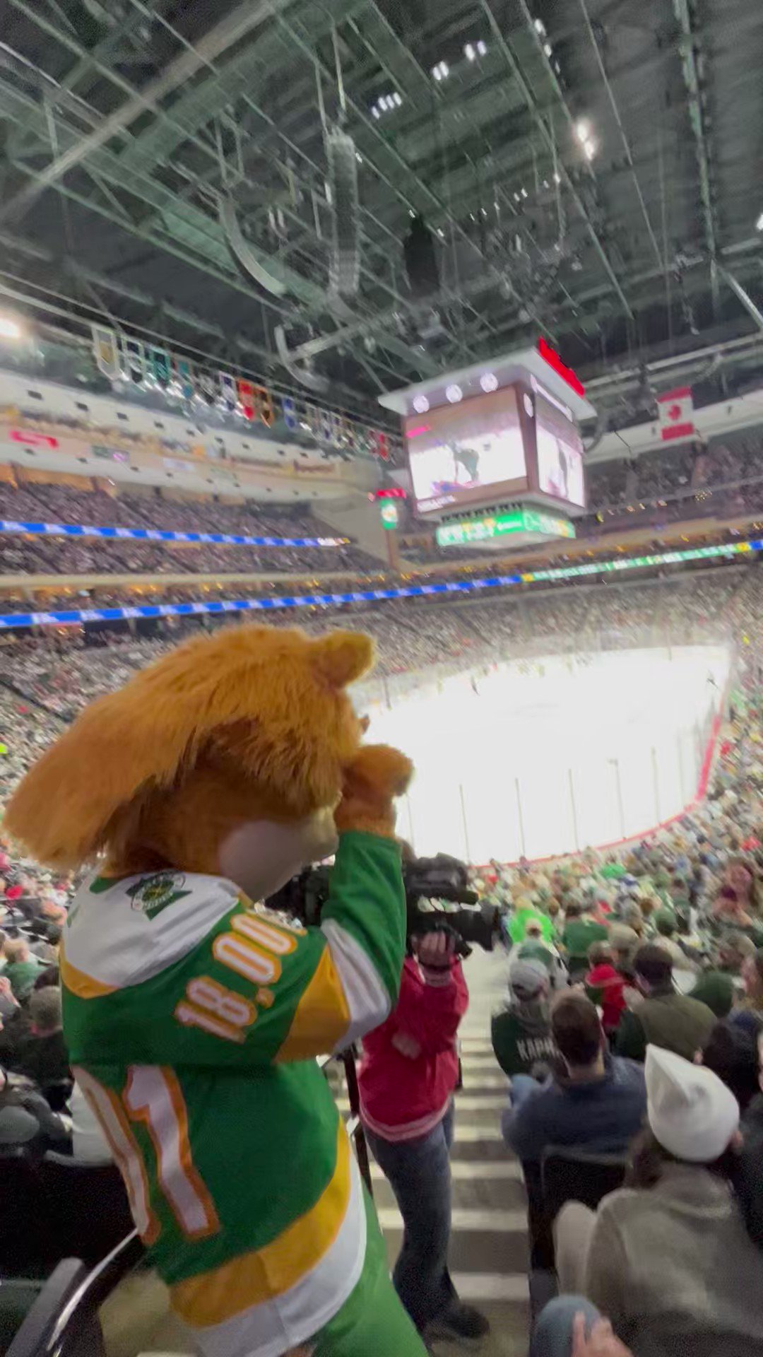 Nordy from the Minnesota Wild is hanging out with #Crash! #IAWild