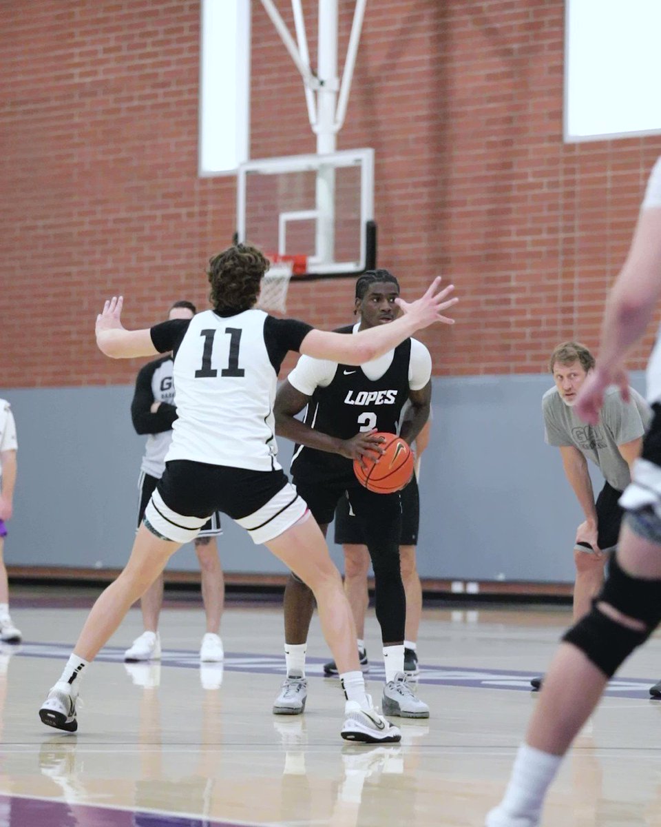 Grand Canyon Men's Basketball on X: just another day of practice