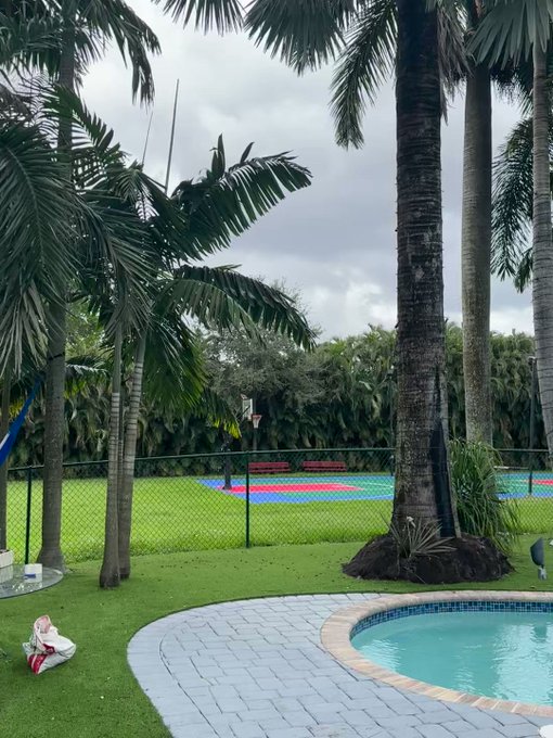 an owl visited me today https://t.co/QDcXX1DaMW