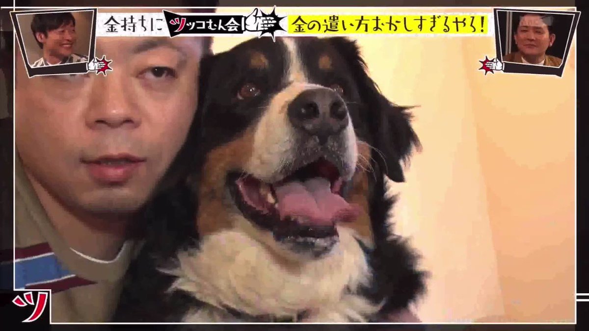 Twitter Image