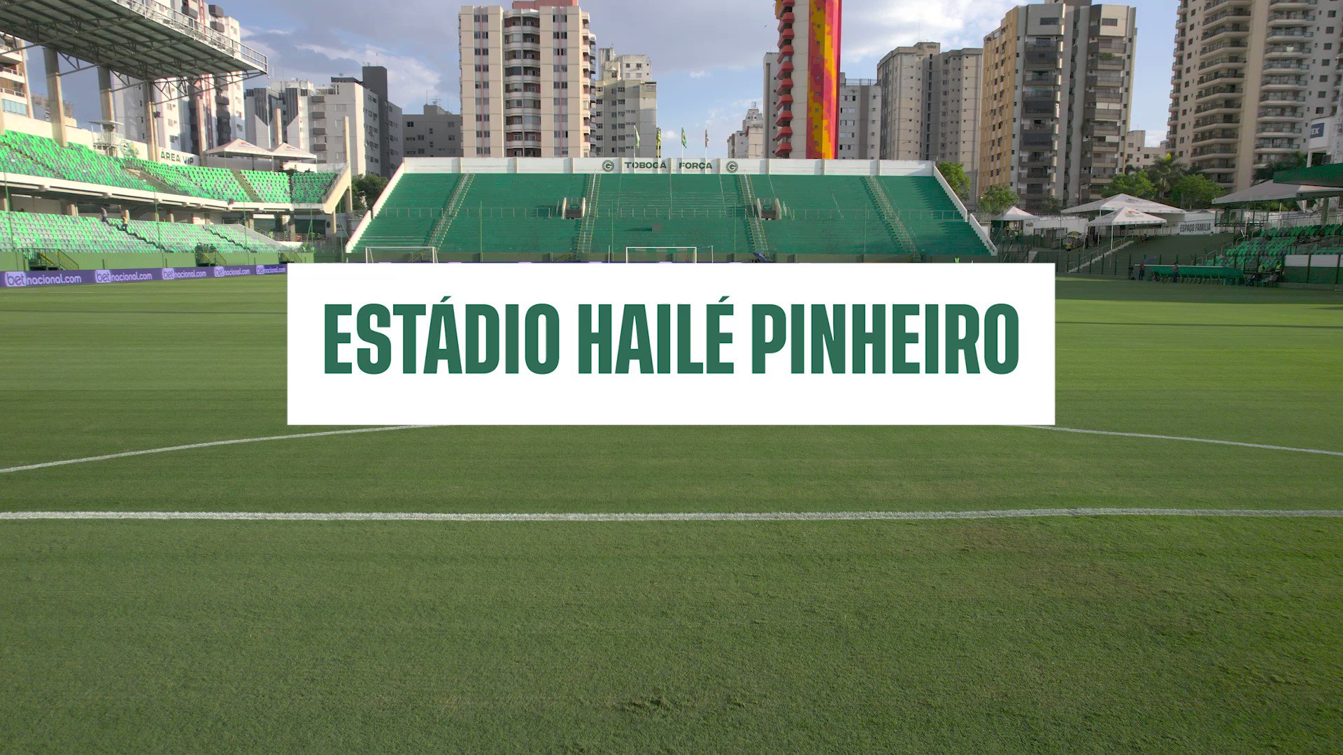 Goiás define valores dos ingressos para jogo contra o Palmeiras no Estádio  Hailé Pinheiro - Sagres Online