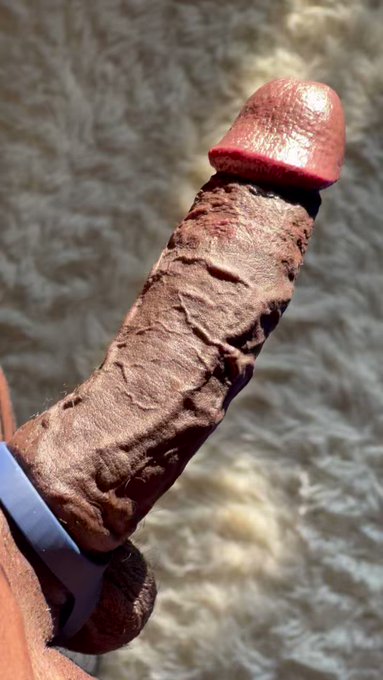 Phallus soaking up some sun ☀️ https://t.co/ZhM6b8XMCt<a href="/tag/artisticreality"class="tags"><span>#artisticreality</span></a>