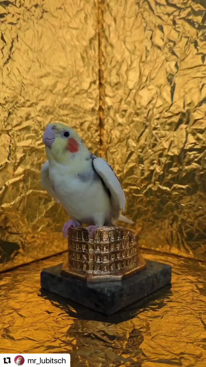 @iam_result's video Tweet